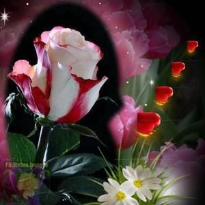 Meet your Posher, Chand